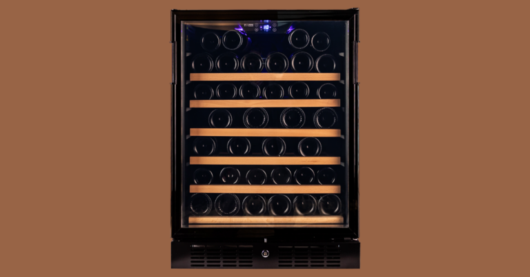 Wine Fridge Singapore: The Ultimate Guide to Preserving Your Wine Collection