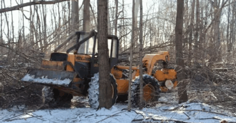 Land Clearing Services Near Me: Expert Solutions for Every Property